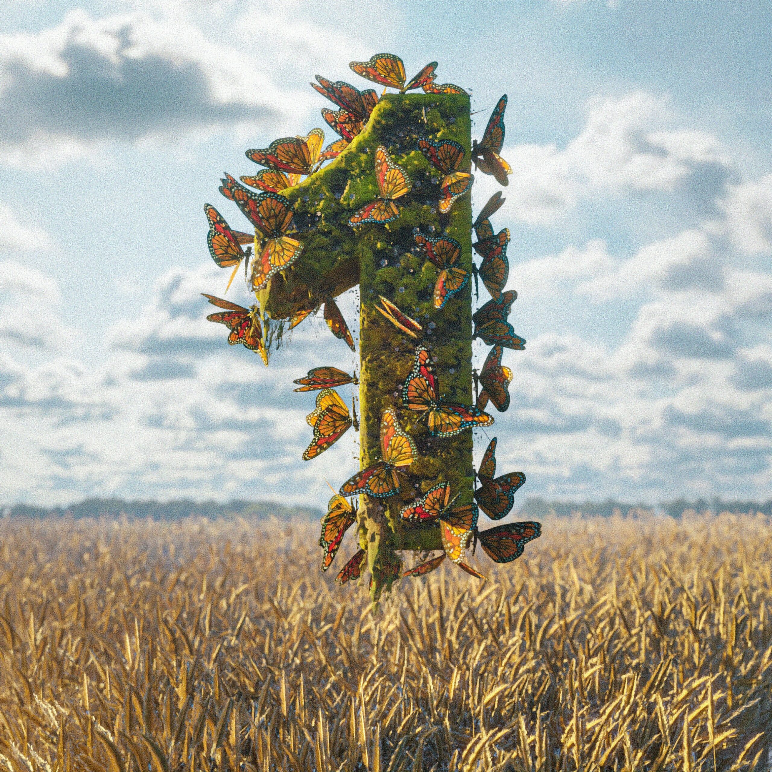pascal garten ynqscgysxqq unsplash