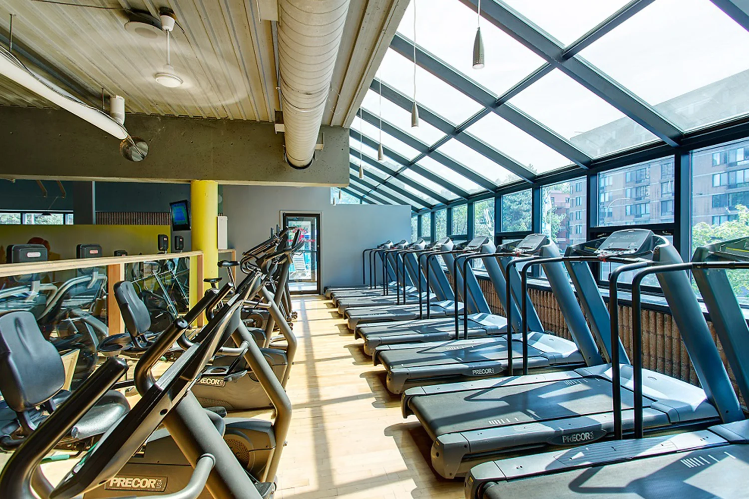 13.gym photo