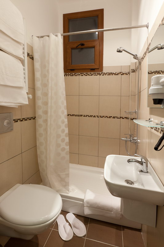 lower floor bathroom