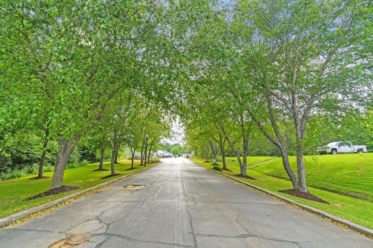 dsc 7550